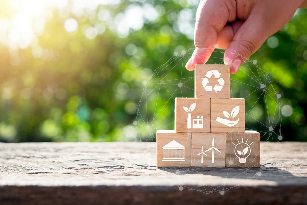 Soluções Neocert para Clima e Natureza: duas trilhas para fortalecer governança, reporte e valor